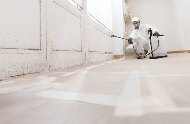 Trusted Mold Testing service in Union, MI - WQB Mold Removal