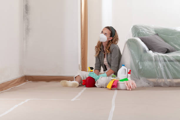 Reliable Mold Testing contractor in Union, MI by WQB Mold Removal